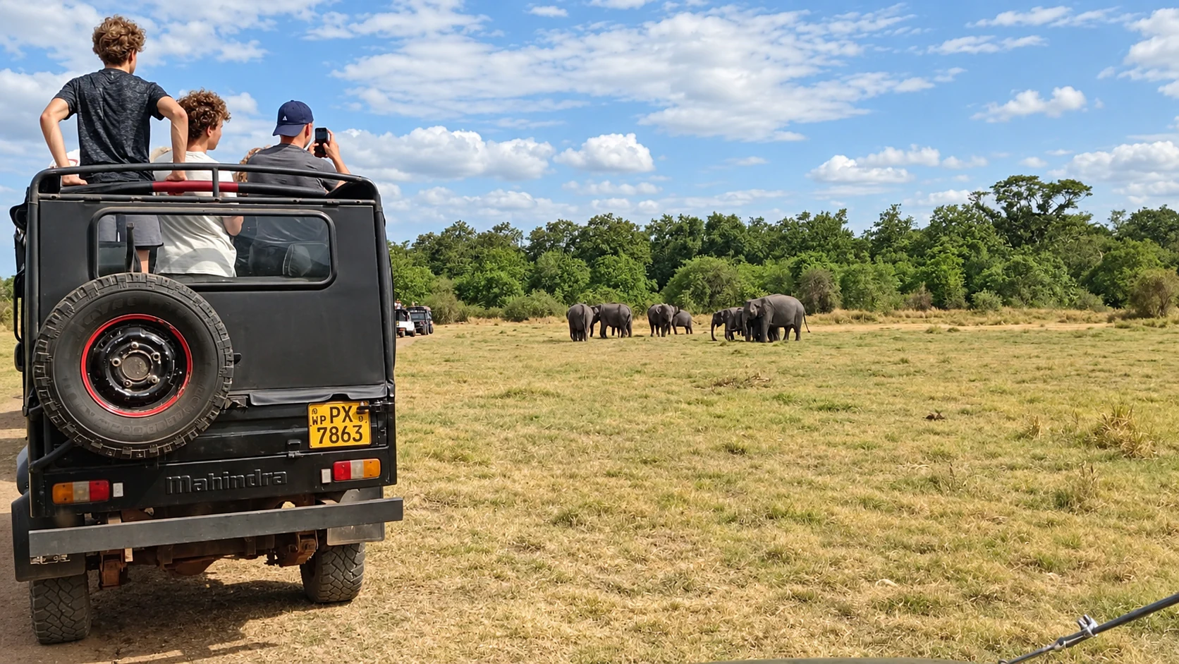 Guests watching elephants from a Sri Lanka safari jeep